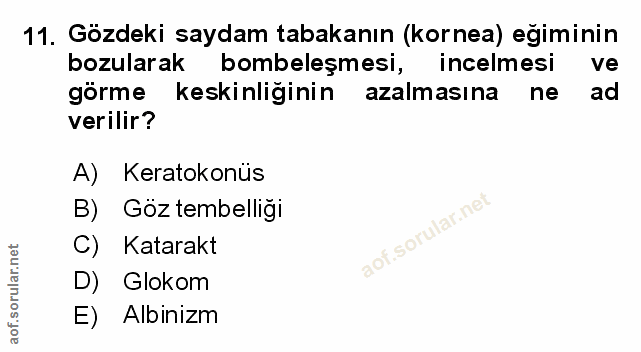 Soru 11
