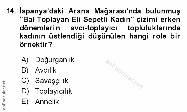 Soru 14