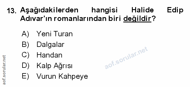 Soru 13