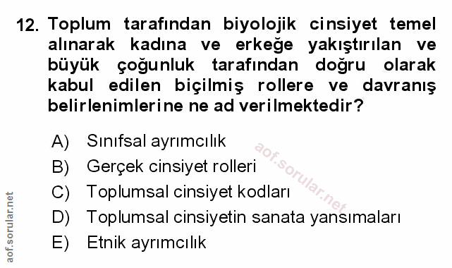 Soru 12