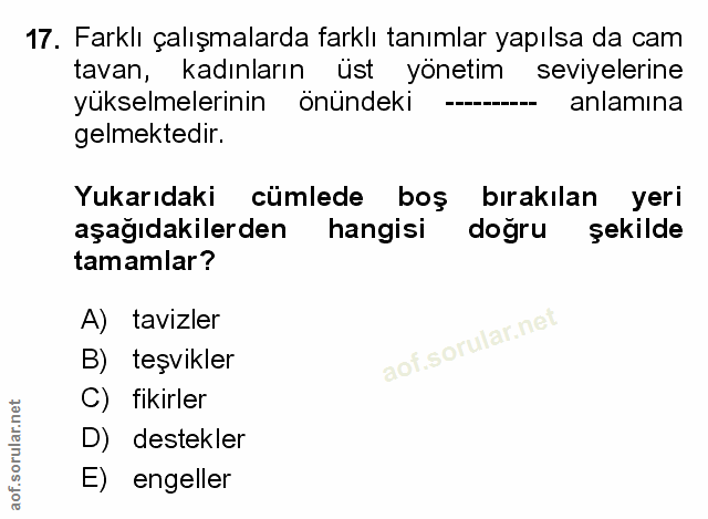 Soru 17
