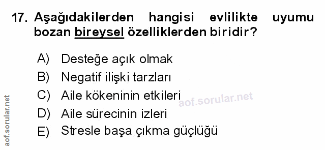 Soru 17