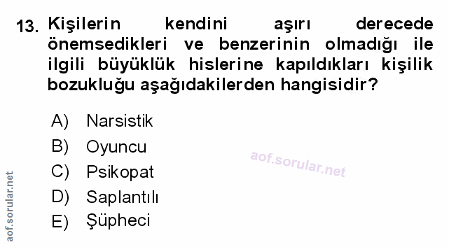 Soru 13