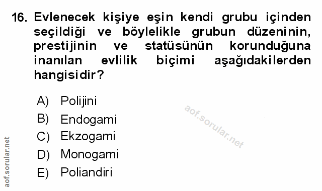 Soru 16