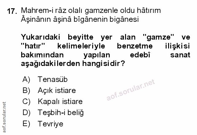Soru 17