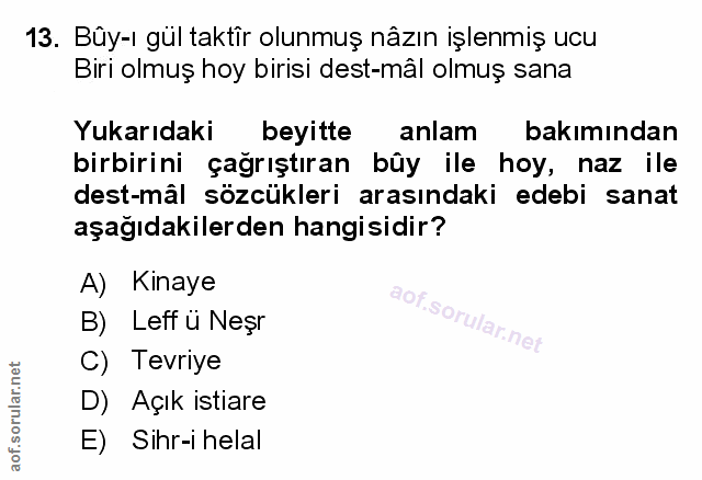 Soru 13