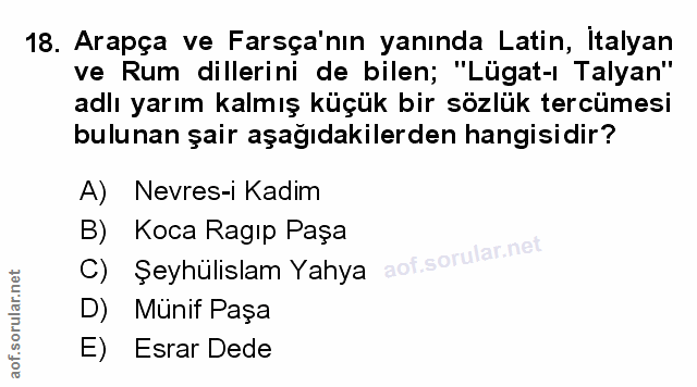 Soru 18