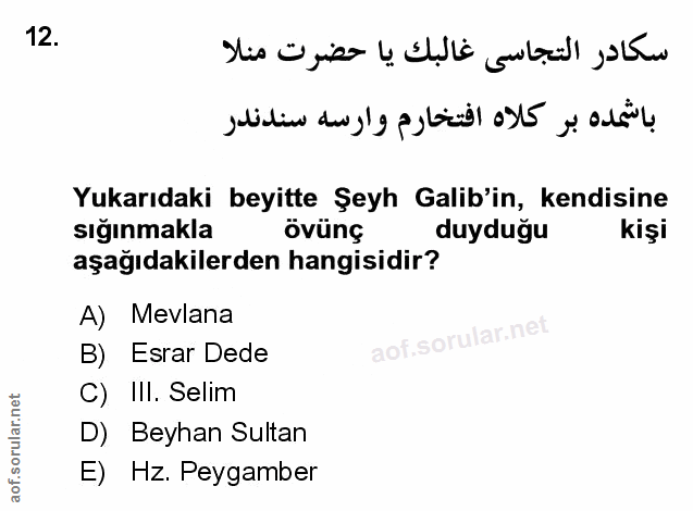 Soru 12