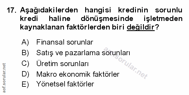 Soru 17
