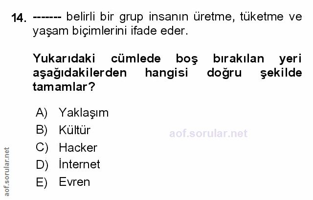 Soru 14