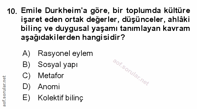 Soru 10