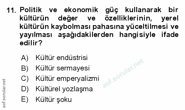 Soru 11