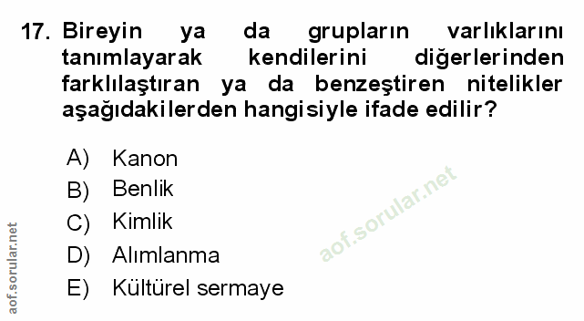 Soru 17
