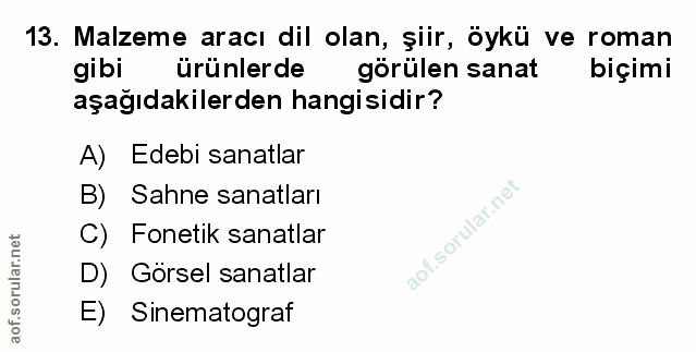 Soru 13