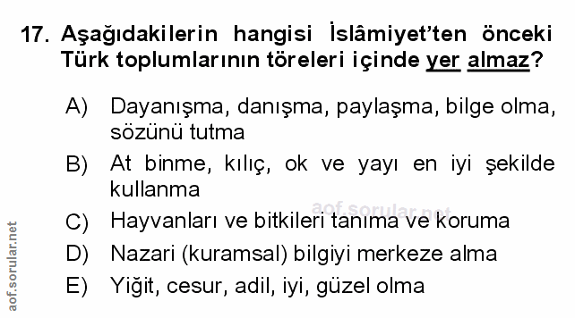 Soru 17