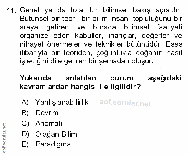 Soru 11