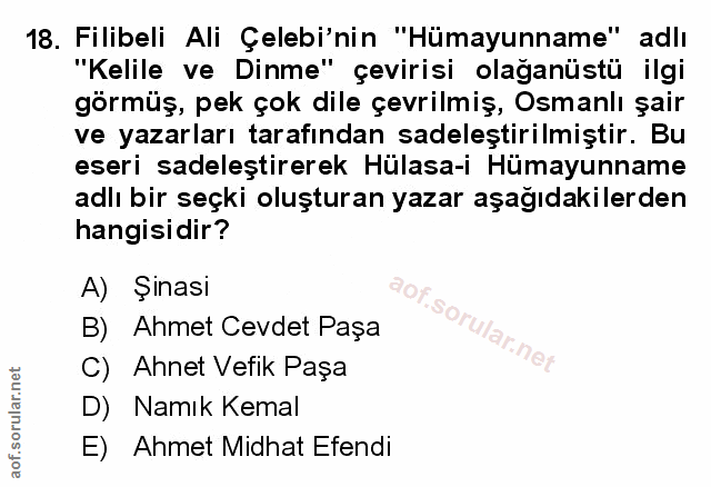 Soru 18