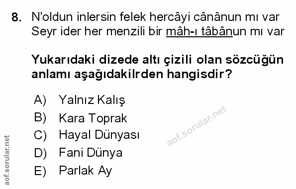 Soru 8