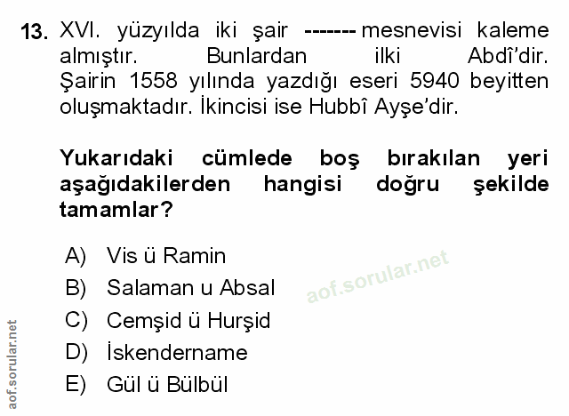 Soru 13