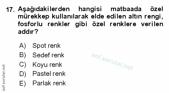 Soru 17