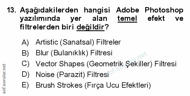 Soru 13