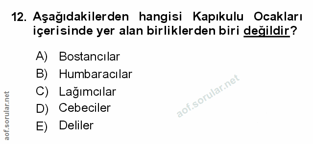 Soru 12