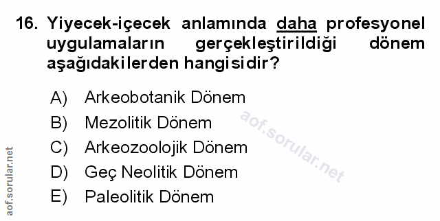 Soru 16
