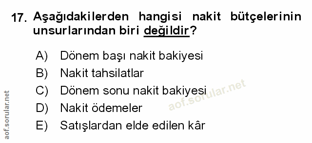 Soru 17
