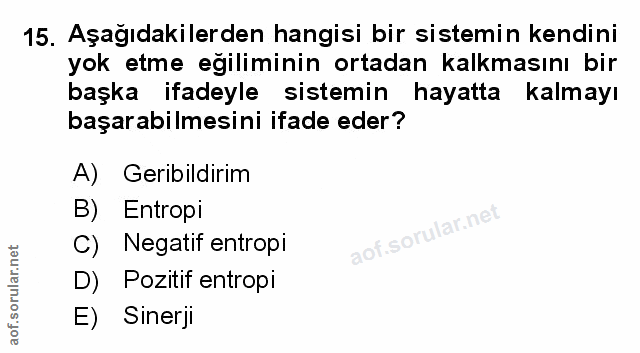 Soru 15