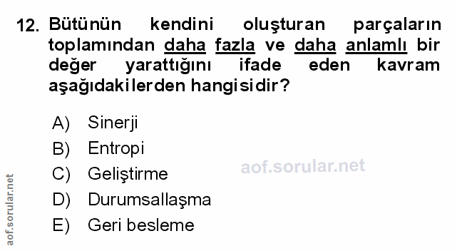 Soru 12