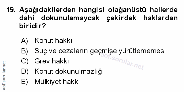 Soru 19