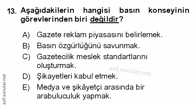 Soru 13