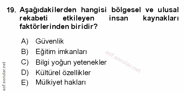 Soru 19