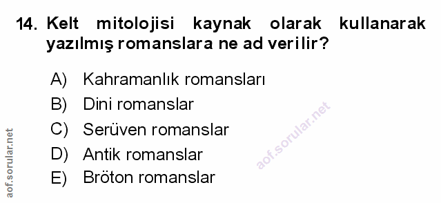 Soru 14