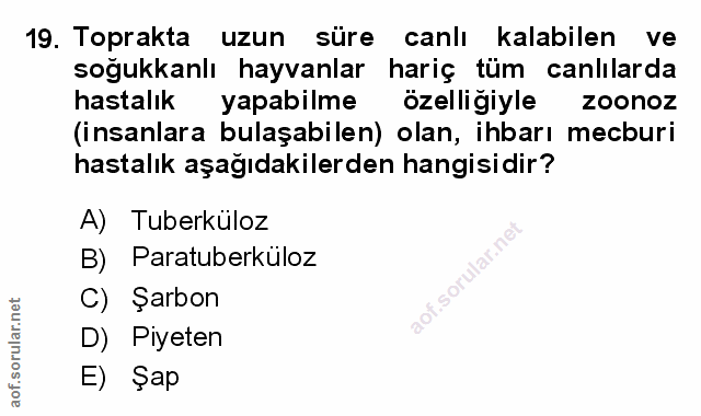 Soru 19