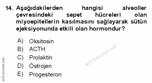 Soru 14