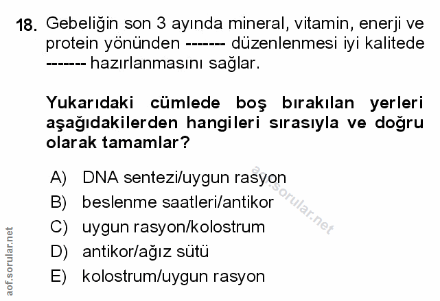 Soru 18