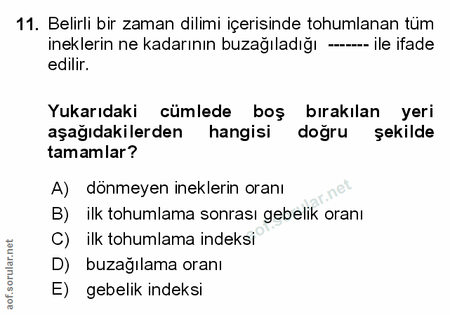 Soru 11