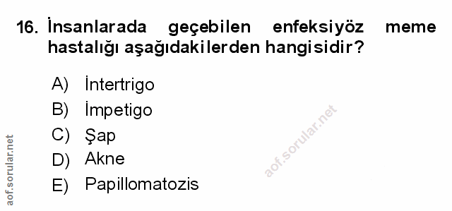 Soru 16