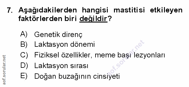 Soru 7