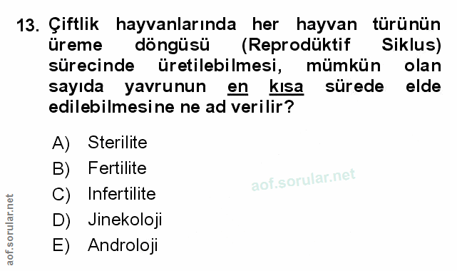Soru 13