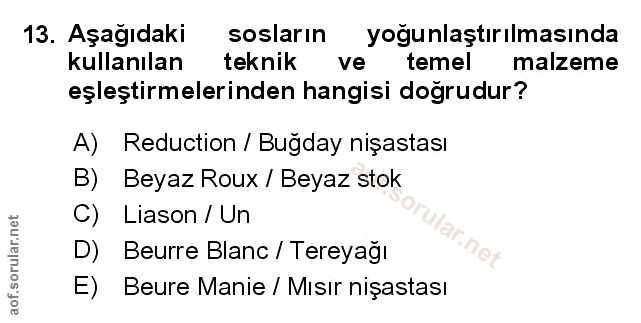 Soru 13