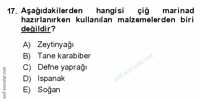 Soru 17
