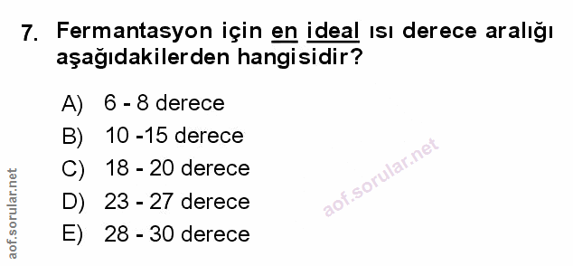 Soru 7