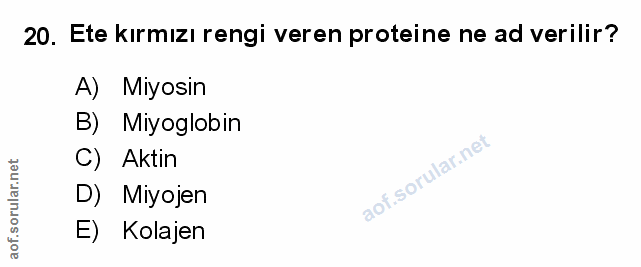 Soru 20