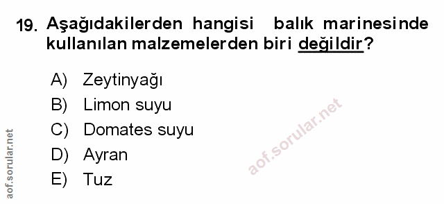 Soru 19
