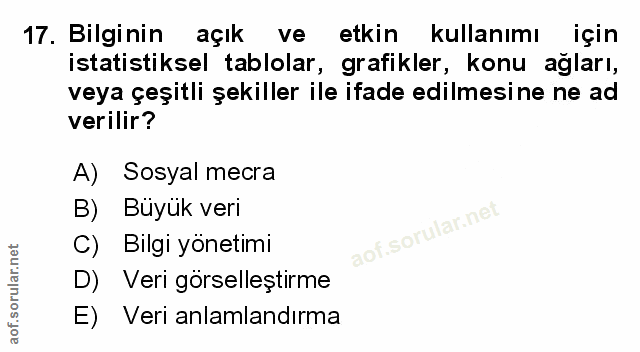 Soru 17