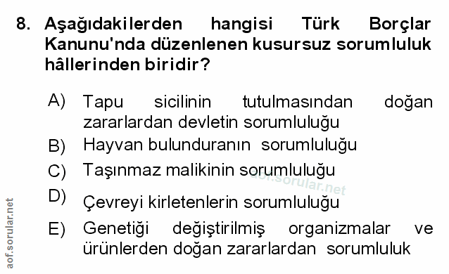 Soru 8