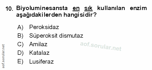 Soru 10