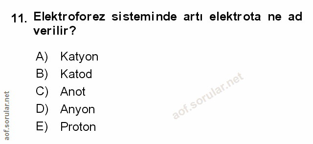 Soru 11